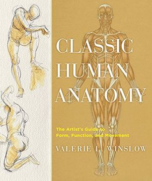 portada Classic Human Anatomy: The Artist's Guide to Form, Function, and Movement (in English)
