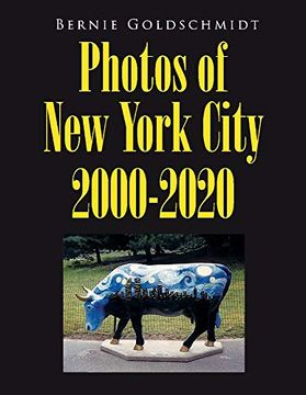 portada Bernie Goldschmidt Photos of new York City 2000-2020 (en Inglés)