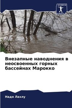 portada Внезапные наводнения в н (in Russian)