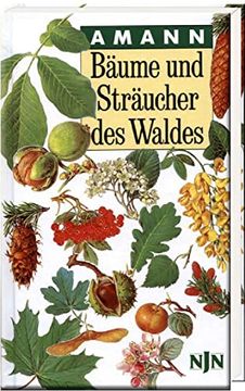portada Bäume und Sträucher des Waldes (in German)