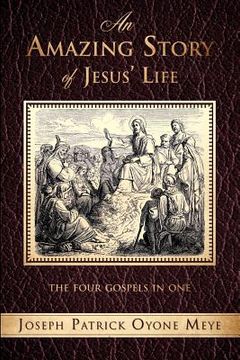 portada an amazing story of jesus' life (en Inglés)