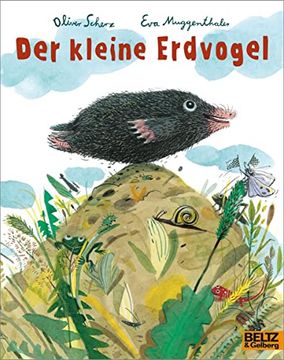 portada Der Kleine Erdvogel: Vierfarbiges Bilderbuch (in German)