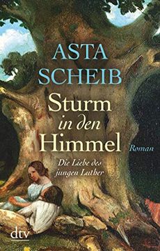portada Sturm in den Himmel: Die Liebe des Jungen Luther Roman (en Alemán)