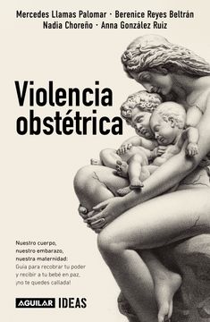 portada VIOLENCIA OBSTETRICA