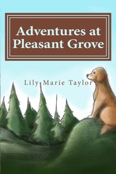portada Adventures at Pleasant Grove