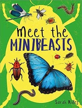 portada Meet the Minibeasts (en Inglés)