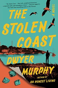 portada The Stolen Coast: A Novel (en Inglés)