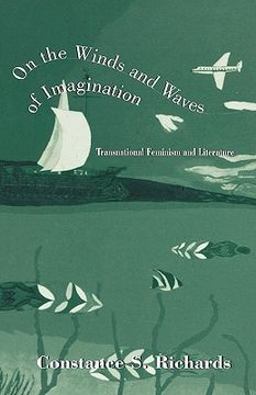 portada transnational feminism and literature: studies in woolf, wicomb, and walker (en Inglés)