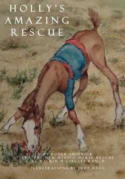 portada Holly's Amazing Rescue (A Walkin N Circles Rescue Series Book) (Volume 1)
