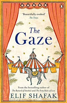 The Gaze (en Inglés)