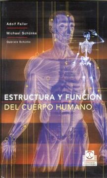 portada ESTRUCTURA Y FUNCI?N DEL CUERPO HUMANO (carton? y color) (Spanish Edition)