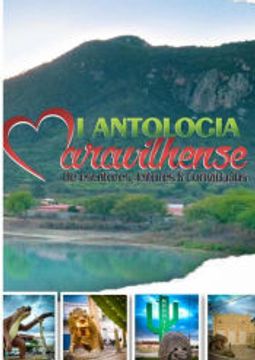 portada I Antologia e Encontro Maravilhense de Escritores (en Portugués)