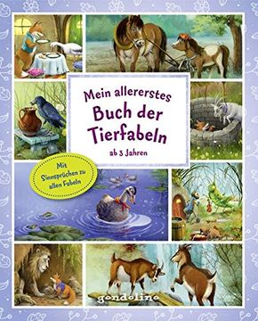 portada Mein Allererstes Buch der Tierfabeln ab 3 Jahre: Im Kleinen Format Ideal zum Vor- und Mitlesen, Schmökern und Betrachten ab 3 Jahre. Mit 34 Fabeln, Ihren Erklärungen und Wunderschönen Illustrationen.