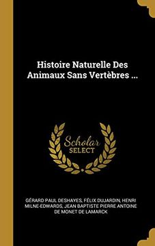 portada Histoire Naturelle Des Animaux Sans Vertèbres ... (en Francés)