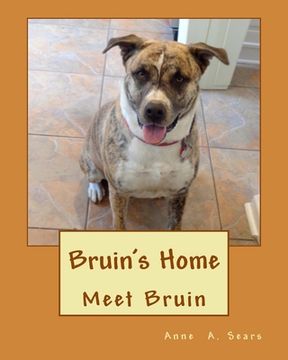 portada Bruin's Home: Meet Bruin (en Inglés)