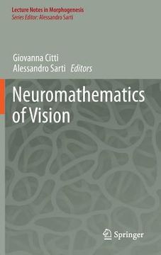 portada neuromathematics of vision (en Inglés)