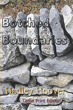portada Botched Boundaries (Lp) (in English)