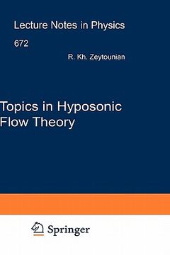 portada topics in hyposonic flow theory (in English)
