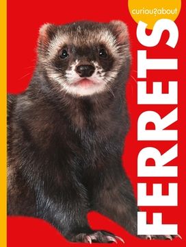 portada Curious about Ferrets (en Inglés)