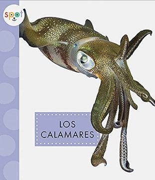 portada Los Calamares (in Spanish)