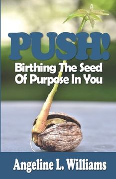 portada Push!: Birthing The Seed Of Purpose In You (en Inglés)