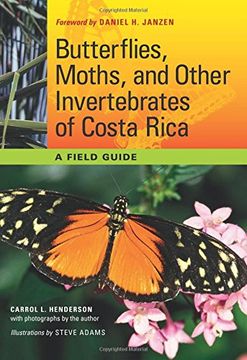 portada Butterflies, Moths, and Other Invertebrates of Costa Rica: A Field Guide (The Corrie Herring Hooks Series) (en Inglés)