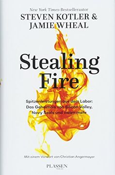portada Stealing Fire: Spitzenleistungen aus dem Labor: Das Geheimnis von Silicon Valley, Navy Seals und Vielen Mehr (in German)