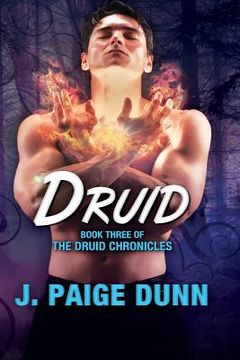 portada Druid: Book Three of the Druid Chronicles (en Inglés)