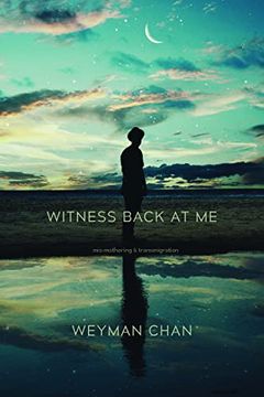 portada Witness Back at Me: Mis-Mothering & Transmigration (en Inglés)