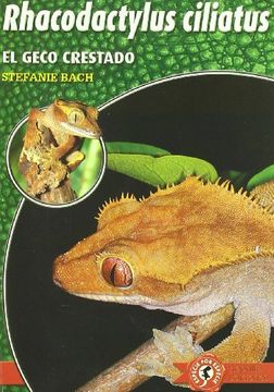 portada Rhacodactylus Ciliatus - el Geco Crestado (Especie por Especie) (in Spanish)