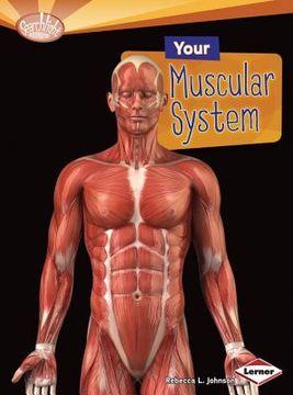portada your muscular system