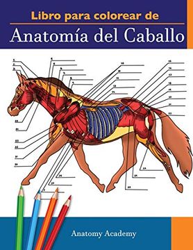 portada Libro Para Colorear de Anatomía del Caballo: Libro de Colores de Autoevaluación muy Detallado de la Anatomía Equina | el Regalo Perfecto Para. Amantes de los Caballos y Adultos (in Spanish)