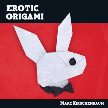 portada Erotic Origami (en Inglés)