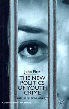 portada the new politics of youth crime: discipline or solidarity? (in English)