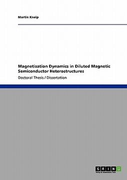 portada magnetization dynamics in diluted magnetic semiconductor heterostructures (en Inglés)