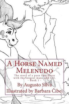 portada A Horse Named Melenudo: The story of a paso fino horse with the longest mane (en Inglés)