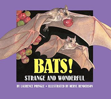 portada Bats! (Strange & Wonderful) (in English)