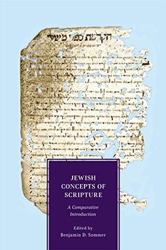 portada Jewish Concepts of Scripture: A Comparative Introduction (in English)