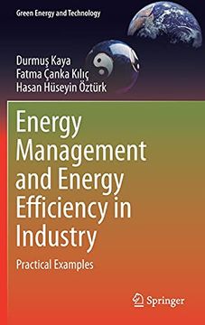portada Energy Management and Energy Efficiency in Industry: Practical Examples (Green Energy and Technology) (en Inglés)