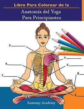 portada Libro Para Colorear de la Anatomía del Yoga Para Principiantes: 50+ Ejercicios de Colores con Posturas de Yoga Para Principiantes | el Regalo Perfecto Para Instructores de Yoga, Maestros y Aficionados