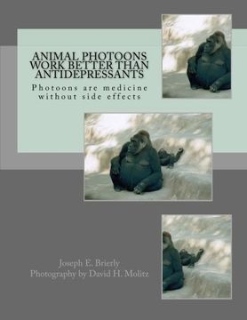 portada Animal Photoons Work Better Than Antidepressants: Photoons are medicine without side effects