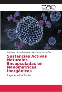 portada Sustancias Activas Naturales Encapsuladas en Nanomatrices Inorgánicas (in Spanish)