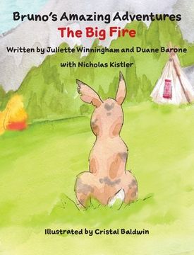portada The Big Fire (en Inglés)