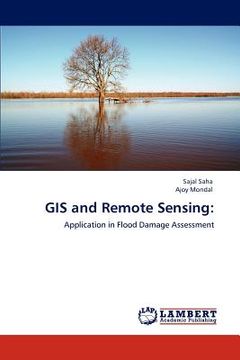 portada gis and remote sensing (en Inglés)
