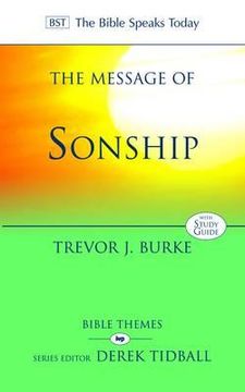 portada the message of sonship: at home in god's household (en Inglés)