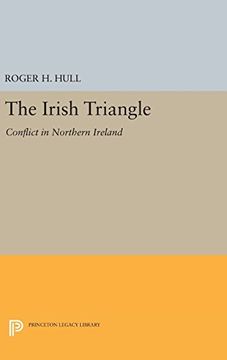 portada The Irish Triangle: Conflict in Northern Ireland (Princeton Legacy Library) (in English)