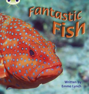 portada Phonics bug Fantastic Fish Phase 4 (in English)