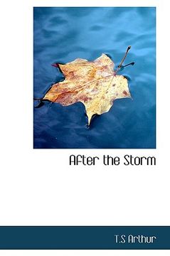 portada after the storm (en Inglés)