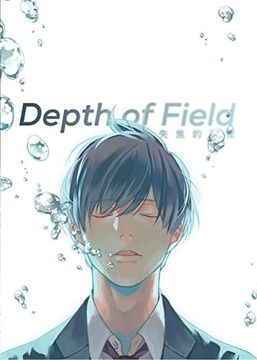 portada Depth of Field Vol. 1 (in English)