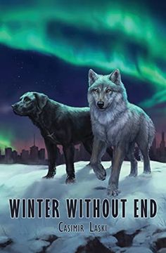 portada Winter Without end (en Inglés)